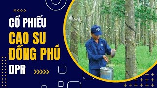 DPR: CHỜ ĐỢI BƯỚC CHUYỂN MÌNH TỪ MẢNG KHU CÔNG NGHIỆP | Phân tích cổ phiếu | Momentum Stock