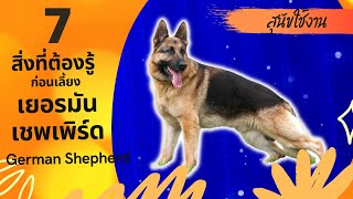 เยอรมันเชฟเฟิร์ด I รู้ก่อนเลี้ยงสุนัขพันธุ์ German Shepherd