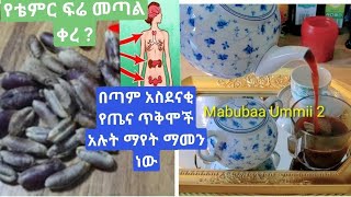 #ታምረኛው የቴምር ፍሬ ለጤናችን በጣም አስፈላጊ ነገር ነው ለምሳሌ የኩላሊት ኢንፌክሽን  የአንጀት ኢንፌክሽን ወዘተ ነገሮችን ያሰወግድልንል  የቴምር ፍሬ ሻይ