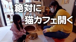 1年ぶりの猫カフェ。甘えん坊猫に癒されて夢を再確認しました