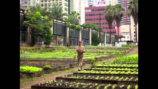 The importance of growing your own food locally: Xavier Fux at TEDxSanMigueldeAllende (2013)