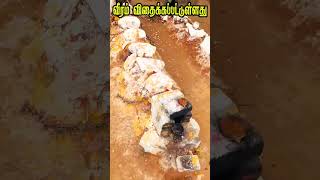 வீரம் விதைக்கப்பட்டுள்ளது