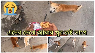 এদের দেখে আমার খুব কষ্ট লাগে 😭😭 #সাপোর্টহিউম্যানিটি #hanskhaligoutam #animallover #dog #freemotion