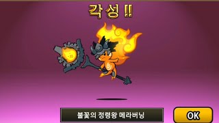 냥코대전쟁 불꽃의 정령 메라란 진화 불꽃의 정령왕 메라버닝![괴최]