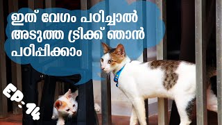 Puppykuttan Webseries Malayalam Episode 14