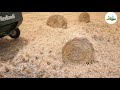 straw baler machine గడ్డి కట్టలు కట్టే యంత్రం dry grass packing machine shiva agriclinic