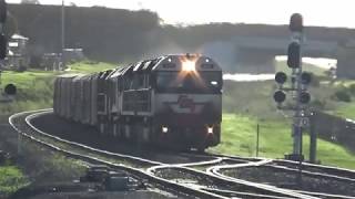 5PM9 SCT Freight Train With Loco SCT010 SCT011 CSR009 SCT006