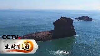 《生财有道》生态中国沿海行——福建福鼎：美丽海岛宝贝多 20200730 | CCTV财经