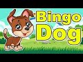 Bingo My Dog I PaddyCreativeToons & Kids Songs