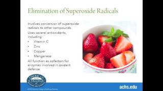 The Amazing Actions of Antioxidants with Dr. Brandy Ferrara
