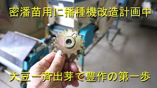 大豆が無事に一斉に出芽しました・播種機を密潘播種用に変更計画中です・2023