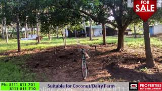 A good, high yielding coconut farm of 4.5 acres is available at Kozhinjampara, Palakkad.