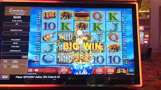 MASSIVE WIN IN BOMBAY SLOT MACHINE ON $1.00 GAME BET!! ONLY OUT IN $20