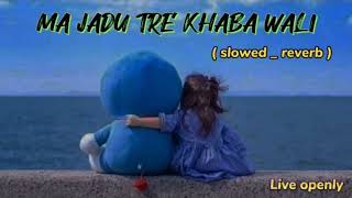 Slowed Reverb || Mai Jado Teri Khwaba Wali Rah Torya || New Panjabi Song ||slowed _ reverb song||