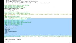 Bug Bounty | 127 SQL Injection Live Website