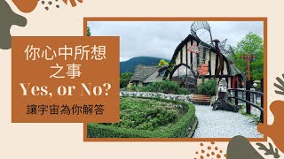 🧬理科塔羅🔬。簡答題：Yes or No? 【誠實豆沙包Alert!!】Timeless.