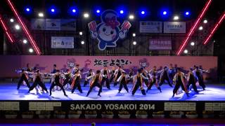 遊人　in　坂戸よさこい　2014