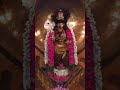 பக்தர்களைக் காக்க முருகா நீ ஓடோடி வா murugansongs