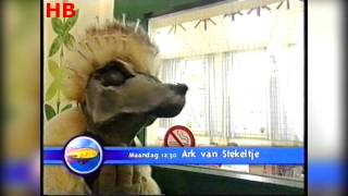 Z@ppelin - Promo 'Ark van Stekeltje' + Bumpers (2002)