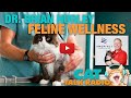 Cat Talk Radio - Dr. Brian Hurley on Cat Wellness