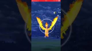 【ポケモンGO】初フィールドリサーチ大発見！はファイヤー❗️高個体値⁉️