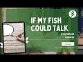 If my Fish Could Talk |A2 English Reading & Vocabulary | Empower English