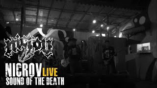 NICROV - EL SANGINO LA MUERTA |live SOUND OF DEATH