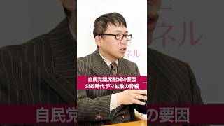 【 デマ拡散？！ 】SNS 時代の脅威！ 自民党 議席 削減の要因とは？［ 政治 議員 片山さつき ］