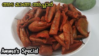 അടമാങ്ങാ ഒരു വർഷം ഇരുന്നാലും കേടാവില്ല|No Preservatives No oil Mango Pickle |Adamanga Dry Mango|