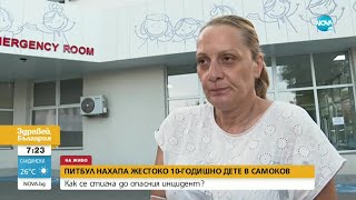 Питбул нахапа жестоко 10-годишно дете в Самоков - Здравей, България (02.08.2021)