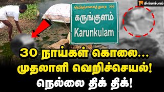 சாக்கு பையில் கட்டி வீசப்பட்ட நாயின் சடலங்கள்! நெல்லையில் நடந்தது என்ன? | Karungulam | Nellai