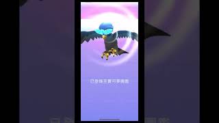 色違洗翠勇士雄鷹來報到#pokemongo #pokemon #寶可夢 #ポケモン #神奇寶貝 #shinypokemon #異色 #色違 #勇士雄鷹 #braviary #ウォーグル