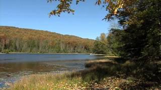 Hamlett Dobson Fall REV