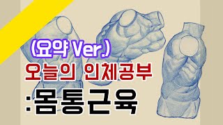 【김락희의 인체 드로잉】(요약ver.) 다양하게 움직이는 허리의 몸통박스와 몸통근육