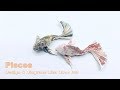 Pisces (Lien Quoc Dat) - LQD Money Origami