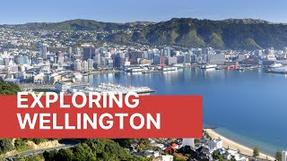 Top 10 Best Attractions to Visit in Wellington
