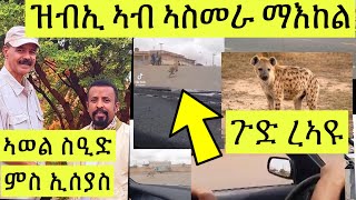 ኡይ ጉድ ረኣዩ ዝብኢ ኣብ ማእከል ከተማ ኣስመራ // ኣወል ስዒድ ምስ ኢሰያስ ኣፈወርቒ