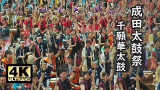 成田太鼓祭 千願華太鼓 2024 其の弐 Cinematic 4K