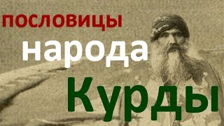 пословицы народ Курды