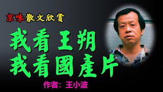 💥王小波的散文欣賞：1、明星與癲狂，2、我對國產片的看法，3、王朔的作品 #散文 #散文朗讀  #讀書 #聽書 #小說 #有聲書 #文学经典#配音#港台经典#情景剧