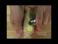 super quick video tips the easiest way to peel ginger