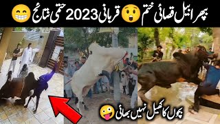 Hilarious Animal Qurbani Fails 😂 Bakra Eid 2023 Anari Kasai viral videos || Israr Info Tv