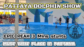 PATTAYA DOLPHIN SHOW EPIC STUNTS  - 3 mins - 🇹🇭 4K