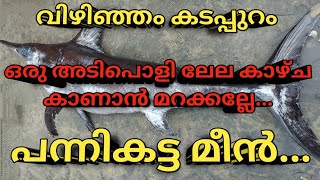 ഒരു അടിപൊളി ലേല കാഴ്ച കാണാൻ മറക്കല്ലേ????