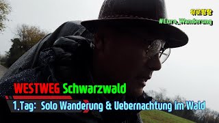 암울한 첫날, 겨울비와 솔로 백패킹 \u0026 비박 / Westweg 1.Tag: Aufregend, hart ... schwerer Tag / Übernachtung im wald