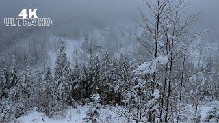 Can't sleep? Loud Snowstorm Sleeping sounds to beat Insomnia! 30 minutes Loud Blizzard sounds!