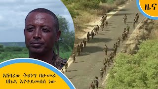 አሸባሪው ትህነግ በሁመራ በኩል እየተደመሰሰ ነው