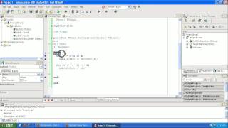 Learning to Program Delphi Tutorial - for while Looping