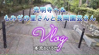 【長岡京市】光明寺・もみぢの里さん・長岡園芸さんへ行こう！【vlog】