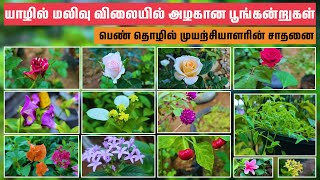 யாழில் மலிவு விலையில் அழகான பூங்கன்றுகள் - Jaffna Flower Garden Tour - Srilanka.